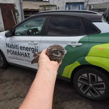 Elektrická Kona z Nošovic na misi chránit