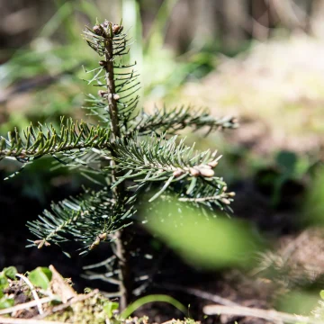 “Together responsibly and sustainably | CSR Round Table”